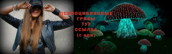 прущие крисы Аркадак