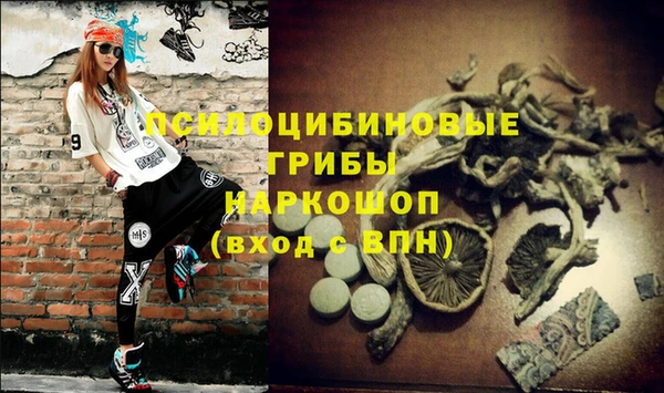 прущие крисы Аркадак