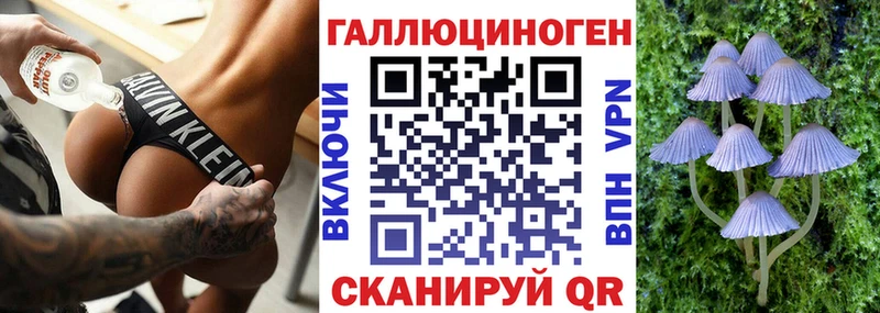 Псилоцибиновые грибы GOLDEN TEACHER  kraken онион  Котельники 
